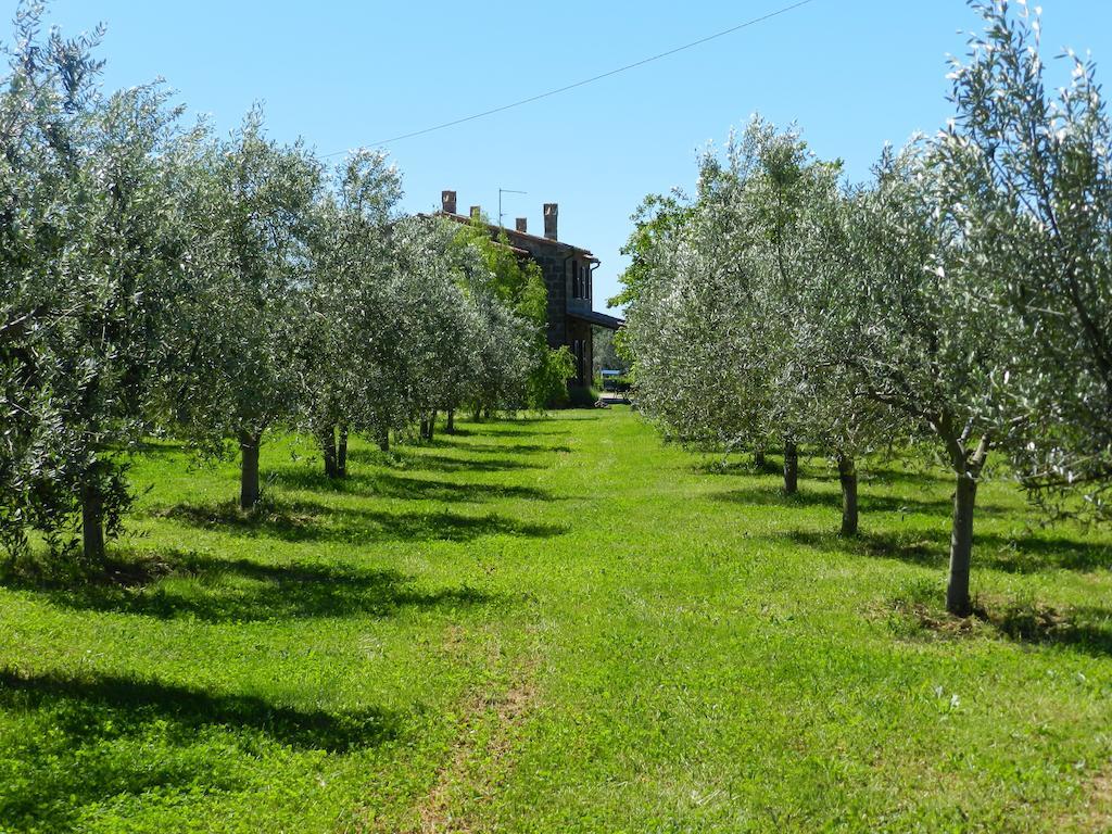 Agriturismo Le Sorgenti Pitigliano Dış mekan fotoğraf